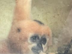 -昆明动物园