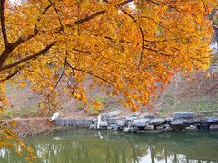 -大兴滨河森林公园