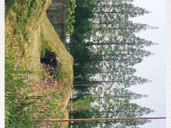 -前小桔亲子创意农场·草莓采摘·露营烧烤