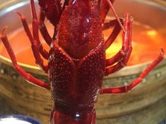 冰镇醉酒炮头小龙虾-酸喜·三度酸·贵州味