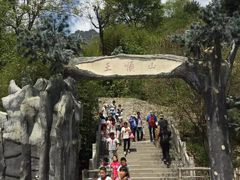 -王顺山国家森林公园
