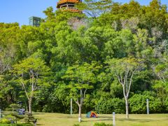 -红花山公园
