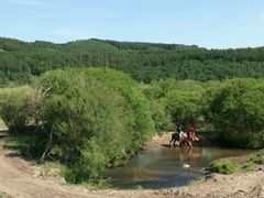 -塞罕坝国家级自然保护区