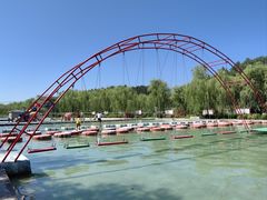 -东方巨龟苑景区