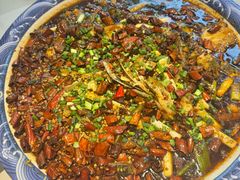 -新概念来凤鱼(璧山店)
