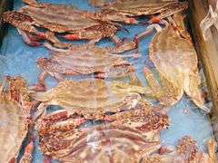 -添福来墨鱼饺子 · 海鲜东北菜(大连星海·黄浦路店)