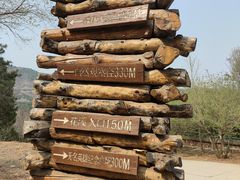 -北京西山国家森林公园