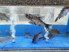 -一江春水·杭帮臻宴(三台山店)