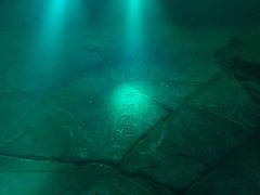 -白鹤梁水下博物馆