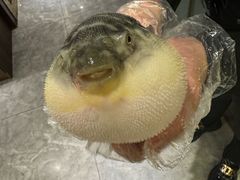 -肆月河豚·新淮扬(金融街店)
