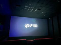 -华美国际影城(旧宫永辉店)