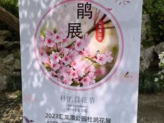-汇龙潭
