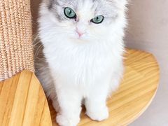 -怪兽屋·羊驼·猫咖·狗咖(俊华广场店)