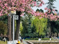 -四川大学(望江校区)