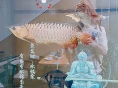 -零·壹新疆羊肉抓饭