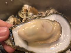 -土蚝·高压锅生蚝(百姓美食街店)