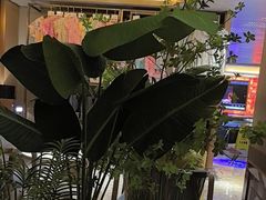 -艺水间水汇