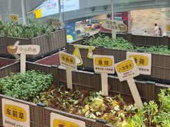 -武汉荟聚