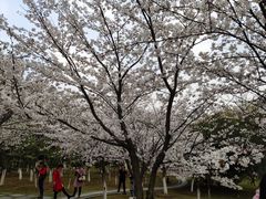 -公益图书馆(江南大学店)