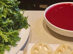 -红鼎坊·老成都火锅(新南门店)