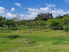 -风云岭森林公园