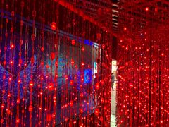 -正佳自然科学博物馆