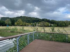 -牛岗山公园