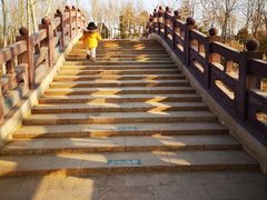 -大兴滨河森林公园