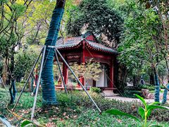 景点-解放公园