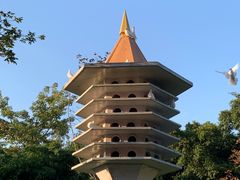 -顺峰山公园