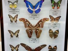 -汕头市博物馆