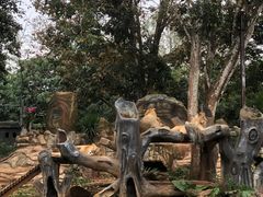 -海南热带野生动植物园
