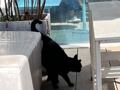 -UNI UNI(环亚凯瑟琳店)