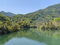 -龙坞茶村