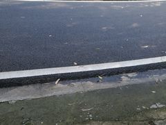 -白云山风景名胜区