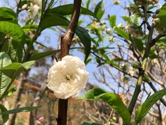 -桃花涧