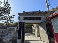 -白水寺森林公园