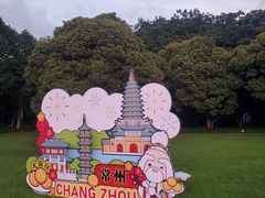 -青枫公园