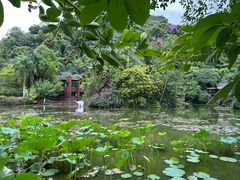 -野象谷景区