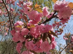 -长白岛森林公园