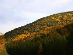 -塞罕坝国家级自然保护区