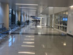-首都医科大学附属北京天坛医院