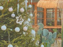 -Jo's Garden