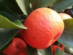 -南通洲际绿博园