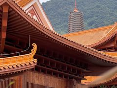 -深圳仙湖植物园