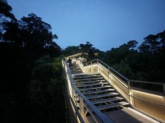 -福道