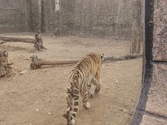 -鄂尔多斯野生动物园