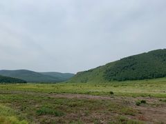 -塞罕坝国家级自然保护区