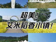 -艾米稻香小镇
