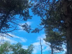 -沈阳辉山风景区